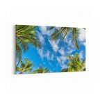 Olla 11521Y Palmiye Ağacı Görseli Yatay Kanvas Tablo (Ölçü: 70X50)
