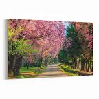 Olla 13984Y Doğa / Manzara Görseli Yatay Kanvas Tablo (Ölçü: 30X20)