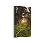 Olla 14005DD Doğa / Manzara Görseli Dikey Dar Kanvas Tablo (Ölçü: 60X120)