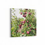 Olla 15079K Gıda Görseli Kare Kanvas Tablo (Ölçü: 25X25)