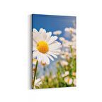 Olla 13543D Doğa / Manzara Görseli Dikey Kanvas Tablo (Ölçü: 100X150)