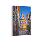 Olla 18463D Yapı Görseli Dikey Kanvas Tablo (Ölçü: 20X30)