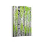 Olla 14526D Doğa / Manzara Görseli Dikey Kanvas Tablo (Ölçü: 100X150)