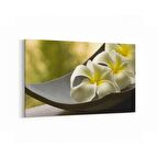 Olla 17068Y Spa / Masaj Görseli Yatay Kanvas Tablo (Ölçü: 30X20)