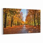 Olla 14162Y Doğa / Manzara Görseli Yatay Kanvas Tablo (Ölçü: 30X20)