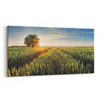 Olla 13889YD Doğa / Manzara Görseli Yatay Dar Kanvas Tablo (Ölçü: 60X30)