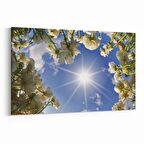 Olla 10789Y Ağaç Görseli Yatay Kanvas Tablo (Ölçü: 45X30)