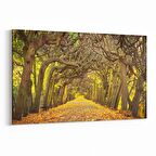 Olla 13366Y Doğa / Manzara Görseli Yatay Kanvas Tablo (Ölçü: 150X100)