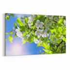 Olla 10798Y Ağaç Görseli Yatay Kanvas Tablo (Ölçü: 120X80)