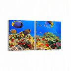 Olla 12060K2Y Akvaryum / Balık Görseli Kare 2'li Yatay Kanvas Tablo (Ölçü: 65X30)