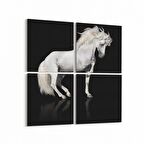 Olla 12672K4 Hayvanlar Alemi Görseli Kare 4'lü Kanvas Tablo (Ölçü: 65X65)