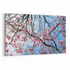 Olla 11065Y Ağaç Görseli Yatay Kanvas Tablo (Ölçü: 70X50)