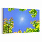 Olla 10671Y Ağaç Görseli Yatay Kanvas Tablo (Ölçü: 70X50)