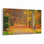 Olla 13598Y Doğa / Manzara Görseli Yatay Kanvas Tablo (Ölçü: 120X80)