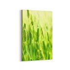 Olla 14507D Doğa / Manzara Görseli Dikey Kanvas Tablo (Ölçü: 60X90)