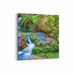 Olla 14374K Doğa / Manzara Görseli Kare Kanvas Tablo (Ölçü: 25X25)