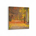 Olla 13598K Doğa / Manzara Görseli Kare Kanvas Tablo (Ölçü: 60X60)