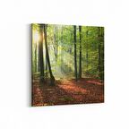 Olla 14355K Doğa / Manzara Görseli Kare Kanvas Tablo (Ölçü: 25X25)