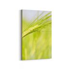 Olla 14327D Doğa / Manzara Görseli Dikey Kanvas Tablo (Ölçü: 60X90)