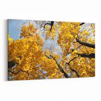 Olla 11005Y Ağaç Görseli Yatay Kanvas Tablo (Ölçü: 150X100)