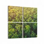 Olla 13244K4 Doğa / Manzara Görseli Kare 4'lü Kanvas Tablo (Ölçü: 65X65)