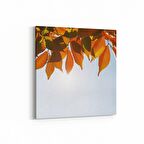 Olla 10523K Ağaç Görseli Kare Kanvas Tablo (Ölçü: 60X60)