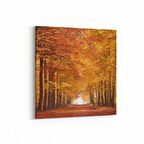 Olla 14561K Doğa / Manzara Görseli Kare Kanvas Tablo (Ölçü: 25X25)