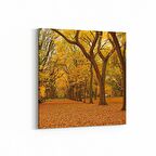 Olla 14541K Doğa / Manzara Görseli Kare Kanvas Tablo (Ölçü: 25X25)