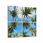Olla 11506K4 Palmiye Ağacı Görseli Kare 4'lü Kanvas Tablo (Ölçü: 65X65)