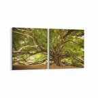 Olla 14268K2Y Doğa / Manzara Görseli Kare 2'li Yatay Kanvas Tablo (Ölçü: 105X50)