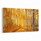 Olla 14572Y Doğa / Manzara Görseli Yatay Kanvas Tablo (Ölçü: 90X60)