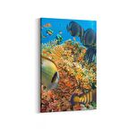 Olla 12125D Akvaryum / Balık Görseli Dikey Kanvas Tablo (Ölçü: 80X120)