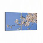 Olla 10670K2Y Ağaç Görseli Kare 2'li Yatay Kanvas Tablo (Ölçü: 85X40)