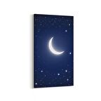 Olla 14829DD Gece Gökyüzü Görseli Dikey Dar Kanvas Tablo (Ölçü: 40X80)