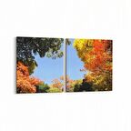 Olla 10923K2Y Ağaç Görseli Kare 2'li Yatay Kanvas Tablo (Ölçü: 145X70)