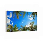Olla 11517Y Palmiye Ağacı Görseli Yatay Kanvas Tablo (Ölçü: 70X50)