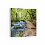 Olla 13290K Doğa / Manzara Görseli Kare Kanvas Tablo (Ölçü: 60X60)