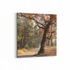 Olla 13309K Doğa / Manzara Görseli Kare Kanvas Tablo (Ölçü: 60X60)