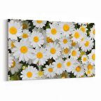 Olla 11630Y Çiçek Görseli Yatay Kanvas Tablo (Ölçü: 120X80)