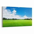 Olla 14143Y Doğa / Manzara Görseli Yatay Kanvas Tablo (Ölçü: 120X80)