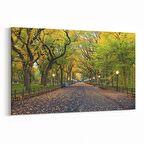 Olla 13297Y Doğa / Manzara Görseli Yatay Kanvas Tablo (Ölçü: 45X30)