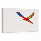 Olla 12558Y Hayvanlar Alemi Görseli Yatay Kanvas Tablo (Ölçü: 90X60)