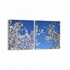 Olla 10937K2Y Ağaç Görseli Kare 2'li Yatay Kanvas Tablo (Ölçü: 125X60)