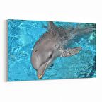 Olla 12902Y Deniz / Okyanus Görseli Yatay Kanvas Tablo (Ölçü: 90X60)