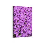 Olla 11587D Çiçek Görseli Dikey Kanvas Tablo (Ölçü: 80X120)