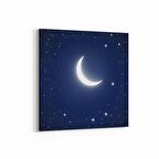 Olla 14829K Gece Gökyüzü Görseli Kare Kanvas Tablo (Ölçü: 100X100)