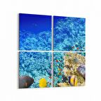 Olla 12124K4 Akvaryum / Balık Görseli Kare 4'lü Kanvas Tablo (Ölçü: 145X145)
