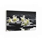 Olla 17101Y Spa / Masaj Görseli Yatay Kanvas Tablo (Ölçü: 150X100)