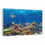 Olla 12159Y Akvaryum / Balık Görseli Yatay Kanvas Tablo (Ölçü: 45X30)