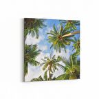 Olla 11501K Palmiye Ağacı Görseli Kare Kanvas Tablo (Ölçü: 25X25)